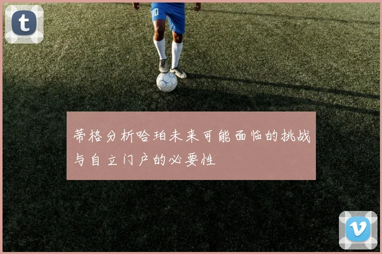 蒂格分析哈珀未来可能面临的挑战与自立门户的必要性